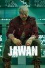 Jawan (2023) Hindi