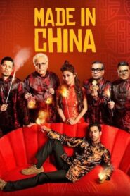 Made In China (2019) Hindi HD