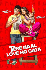 Tere Naal Love Ho Gaya (2012) Hindi