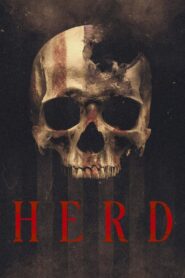 Herd (2023) Hindi