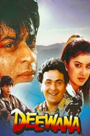 Deewana (1992) Hindi