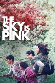 The Sky Is Pink (2019) Hindi HD