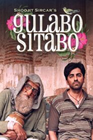 Gulabo Sitabo (2020) Hindi