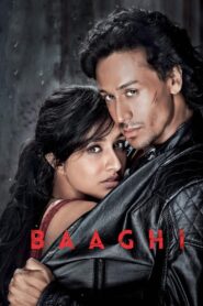 Baaghi (2016) Hindi HD