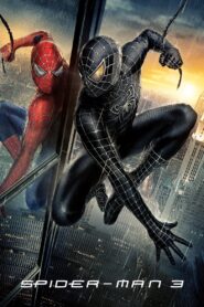 Spider-Man 3 (2007) Hindi Dubbed