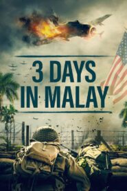 3 Days in Malay (2023) Hindi