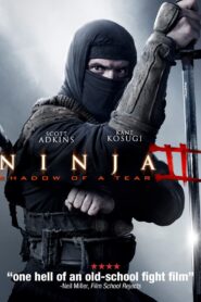 Ninja: Shadow of a Tear (2013) Hindi Dubbed