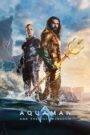 Aquaman and the Lost Kingdom (2023) Hindi