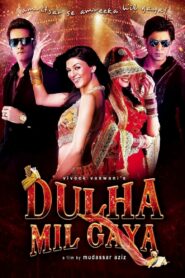 Dulha Mil Gaya (2010) Hindi HD