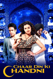 Chaar Din Ki Chandni (2012) Hindi HD
