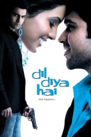 Dil Diya Hai (2006) Hindi HD