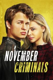 November Criminals (2017) Hindi