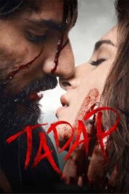 Tadap (2021) Hindi HD