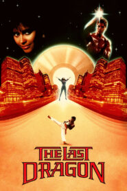 The Last Dragon (1985) Hindi Dubbed
