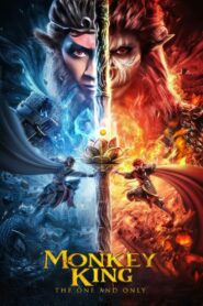 Monkey King: The One and Only (2021) Hindi Dubbed