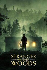 Stranger in the Woods (2024) Hindi Dubbed