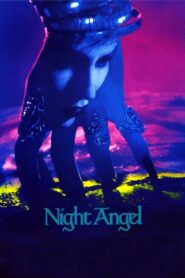 Night Angel (1990) Hindi Dubbed