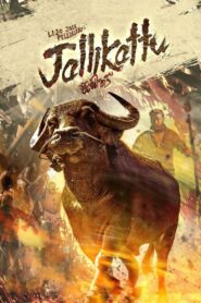 Jallikattu (2019) Hindi Dubbed
