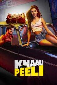 Khaali Peeli (2024) Hindi HD
