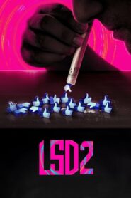 LSD 2: Love Sex aur Dhokha 2 (2024) Hindi PRE DVD
