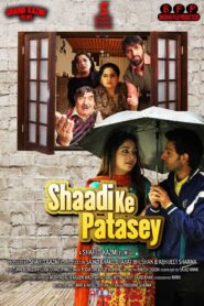 Shaadi ke Patasey (2021) Hindi HD