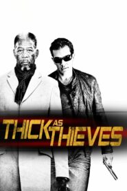 Thick as Thieves (2009) Hindi Dubbed