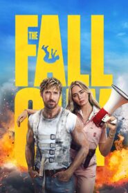 The Fall Guy (2024) Hindi Dubbed Pre DVD
